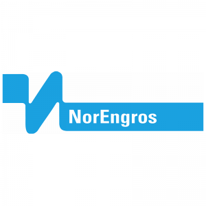 Logo Norengros